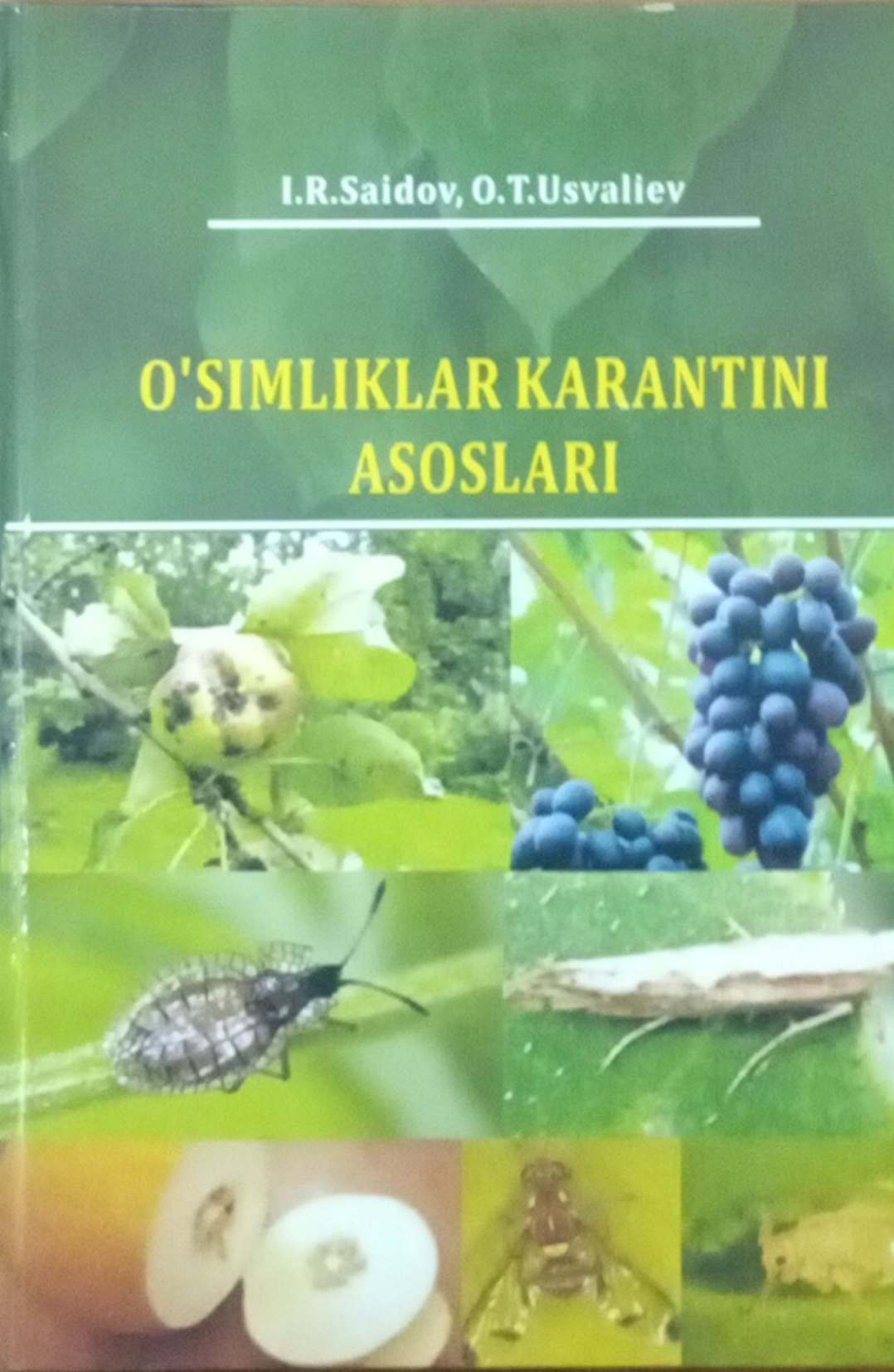 Osimliklarni karantin asoslari