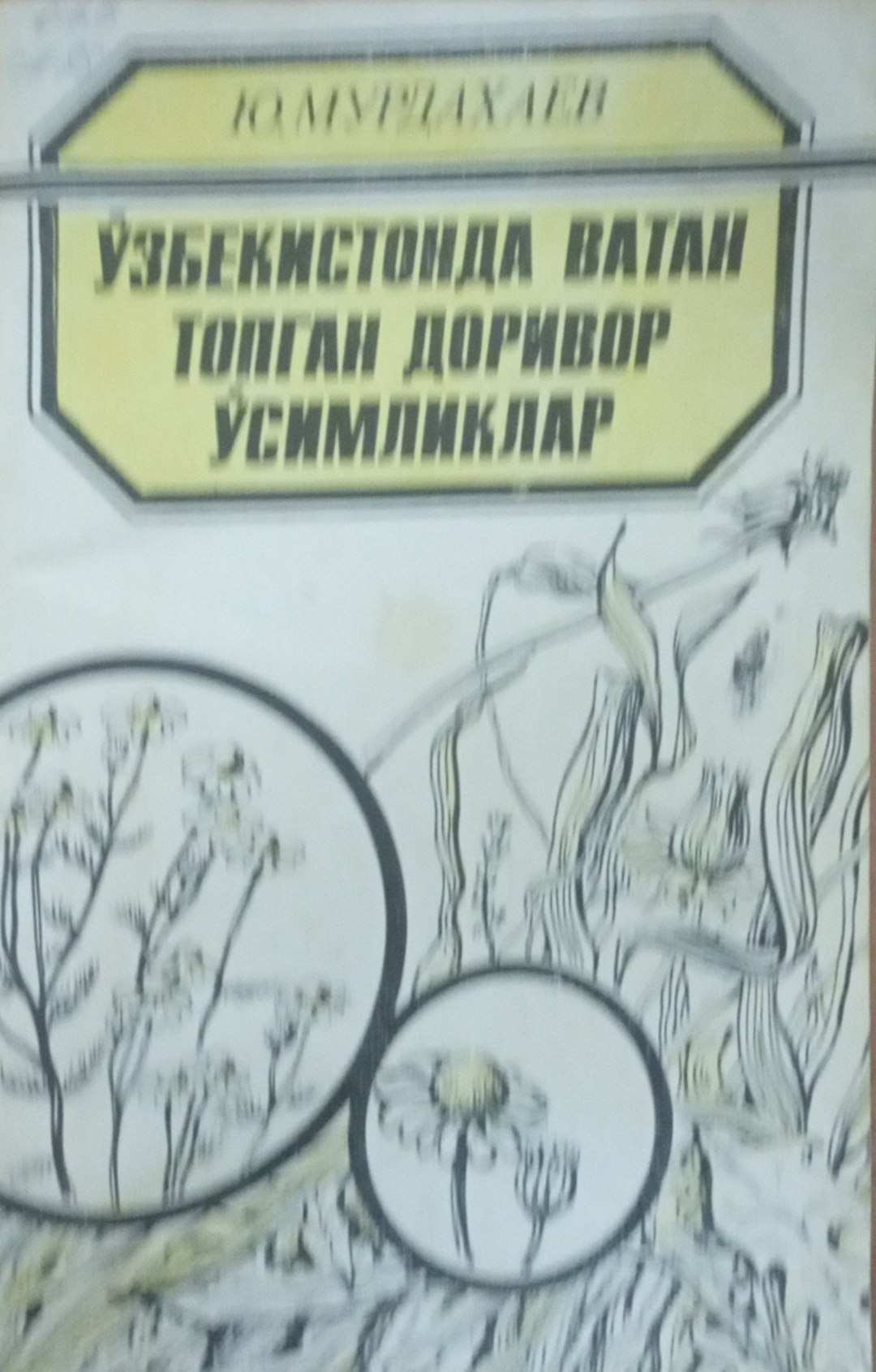 Ўзбекистонда ватан топган доривор ўсимликлар