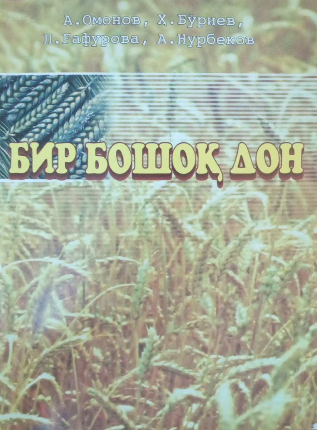 Бир бошоқ дон