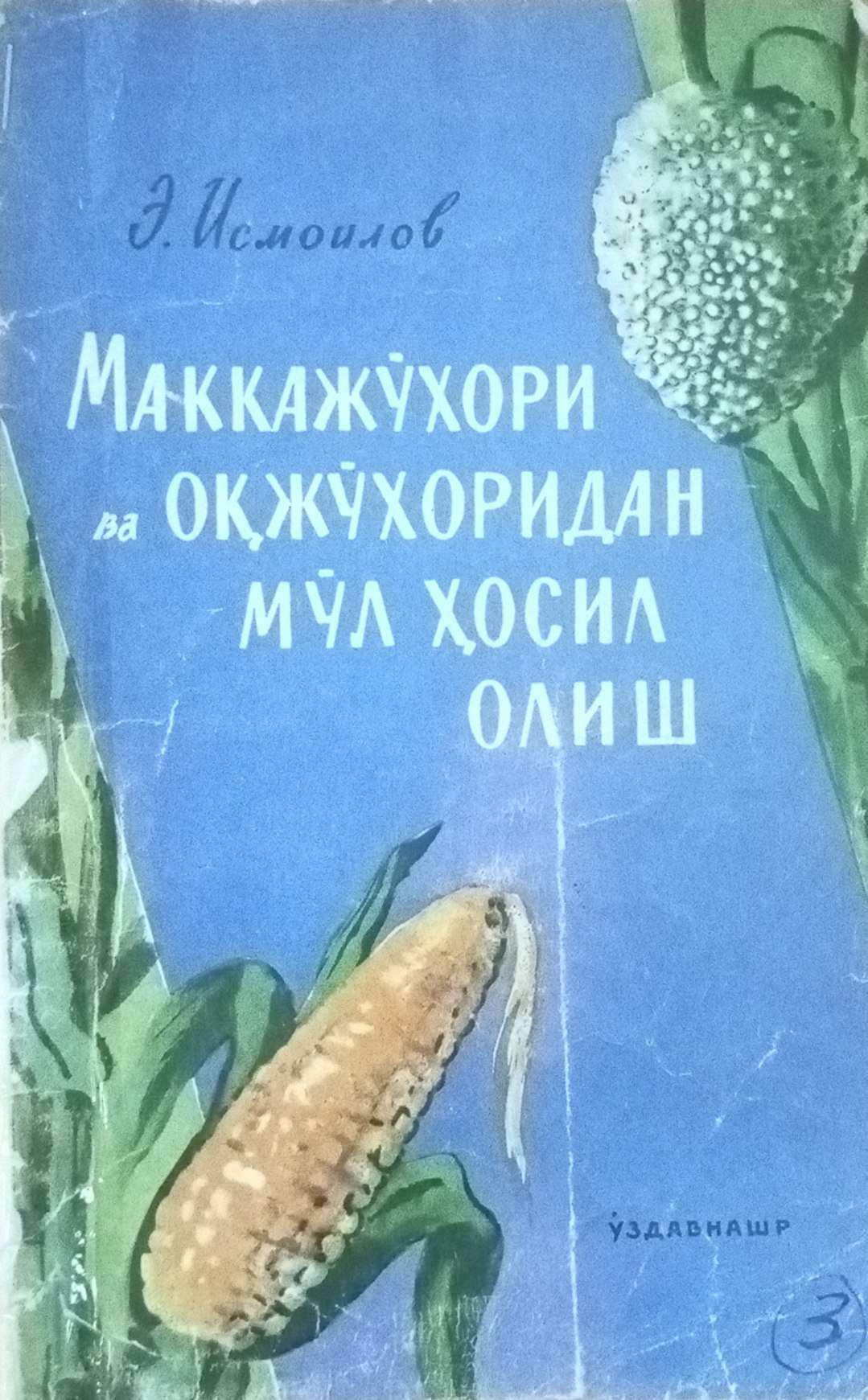 Маккажўхори ва оқ жўхоридан мўл ҳосил олиш
