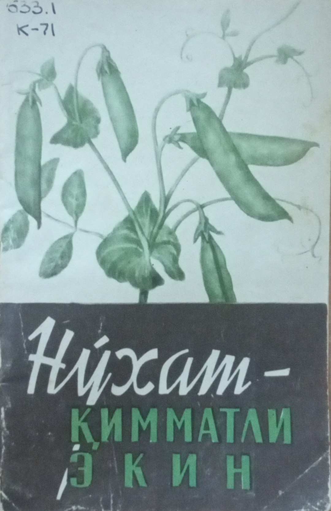 Нўхат-қимматли экин