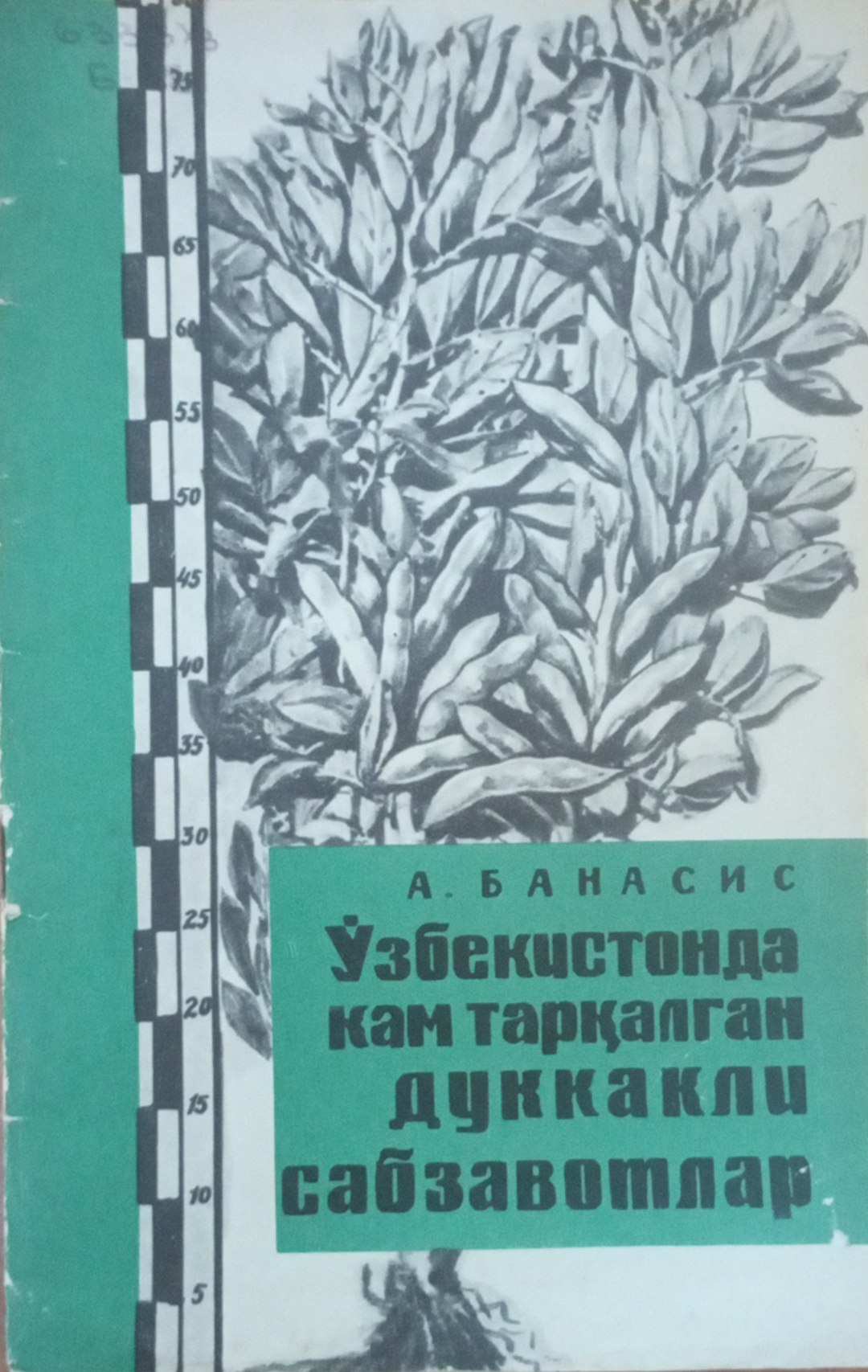 Ўзбекистонда кам тарқалган дуккакли сабзавотлар