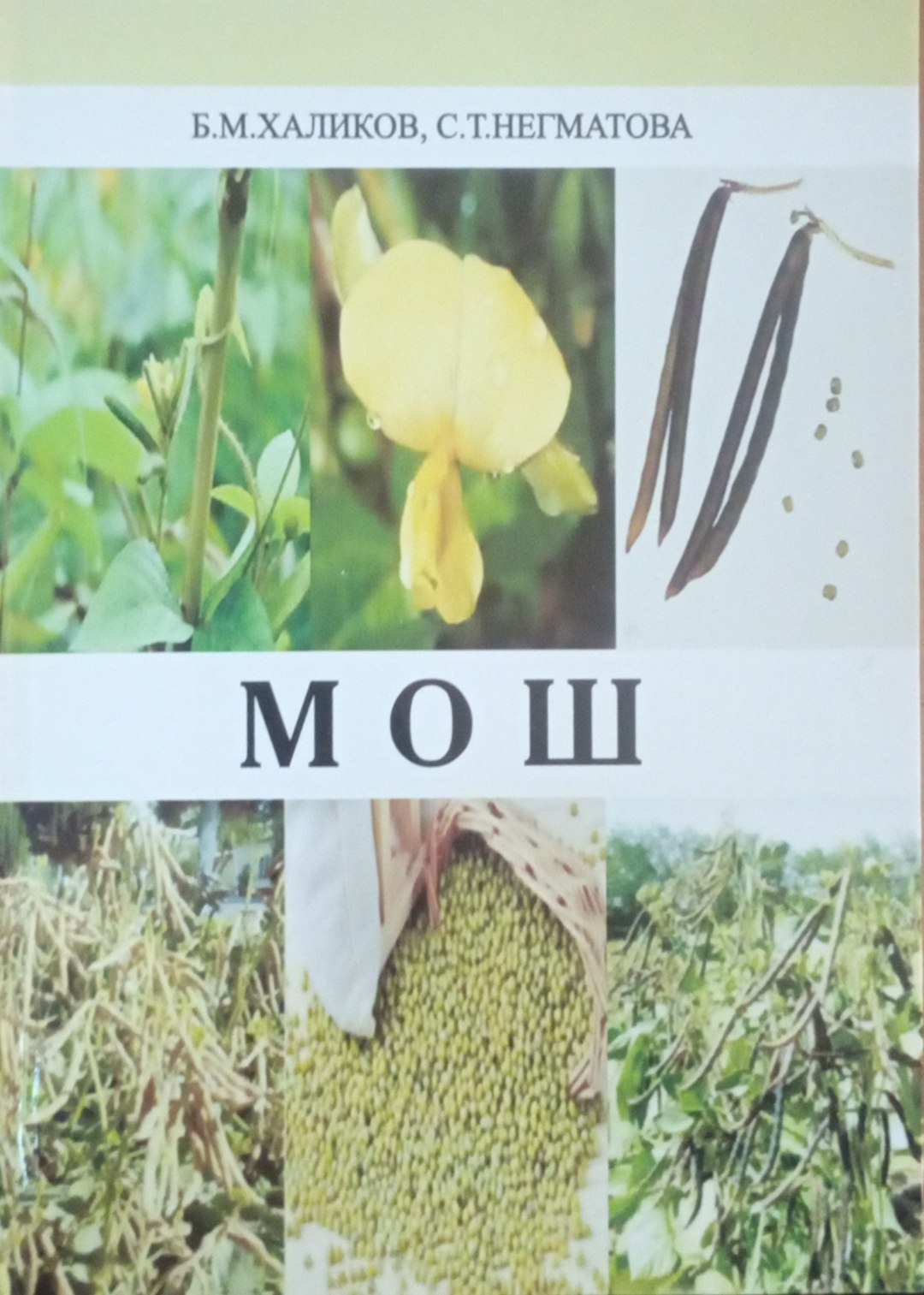 Мош