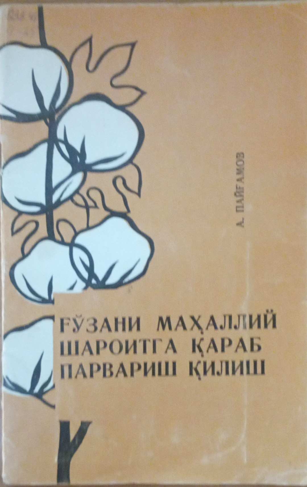 Ғўзани маҳаллий шароитга қараб парвариш қилиш