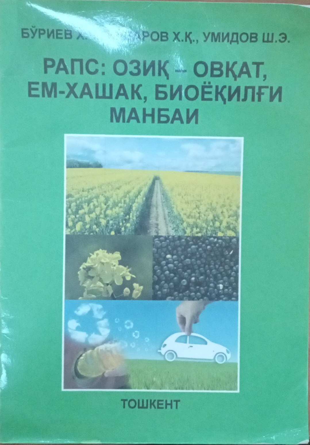 Рапс: озиқ-овқат, ем-хашак, биоёқилғи манбаи