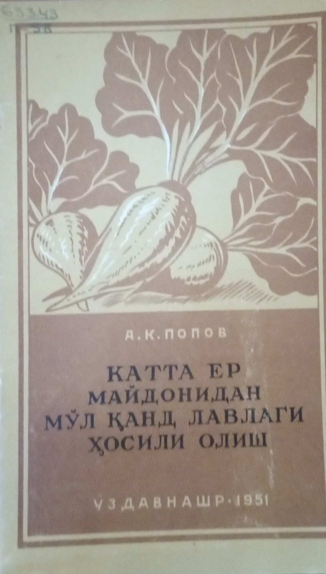 Катта ер майдонидан мўл қанд лавлаги ҳосили олиш