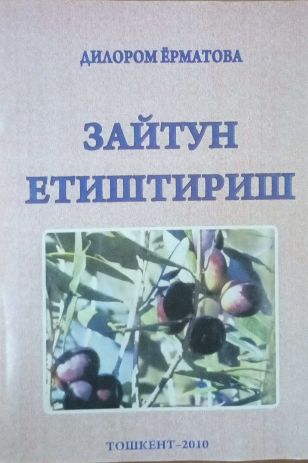 Зайтун етиштириш