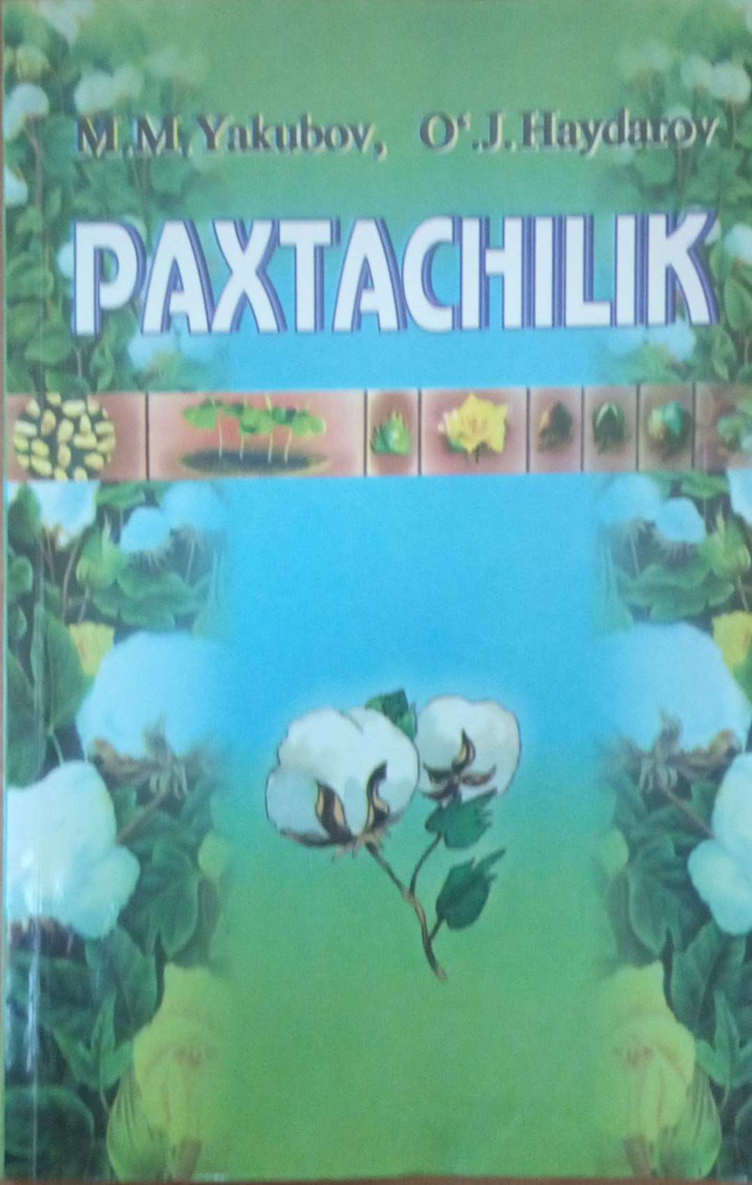 Paxtachilik