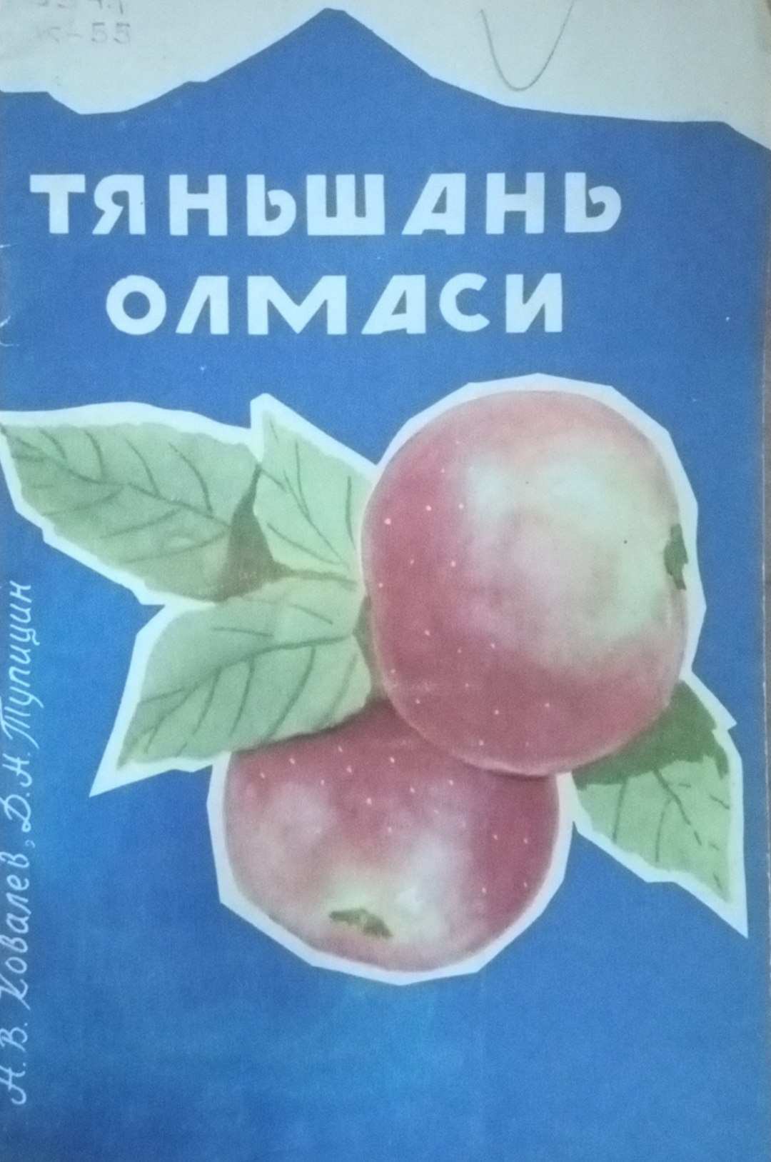 Тьяншань олмаси