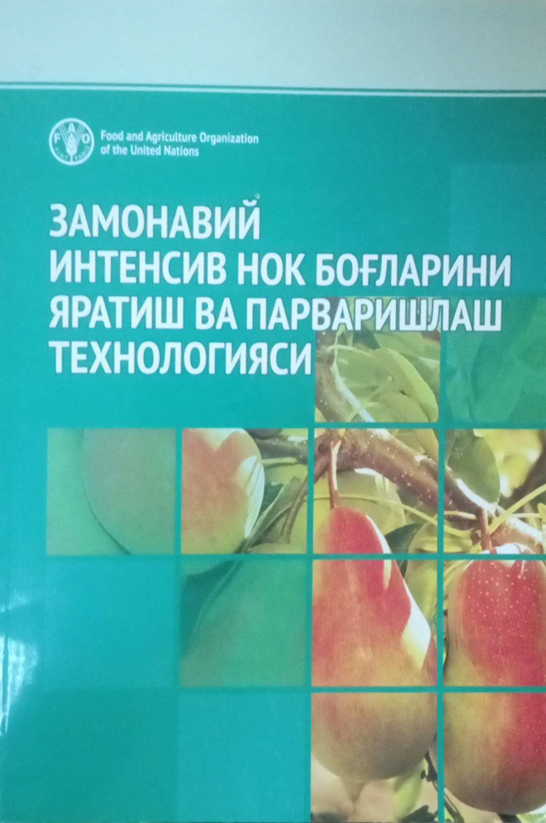 Замонавий интенсив нок боғларини яратиш ва парваришлаш технологияси