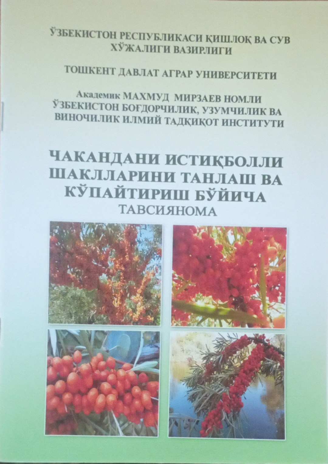 Чаканда истиқболли шакллларни танлаш ва кўпайтириш бўйича тавсиянома