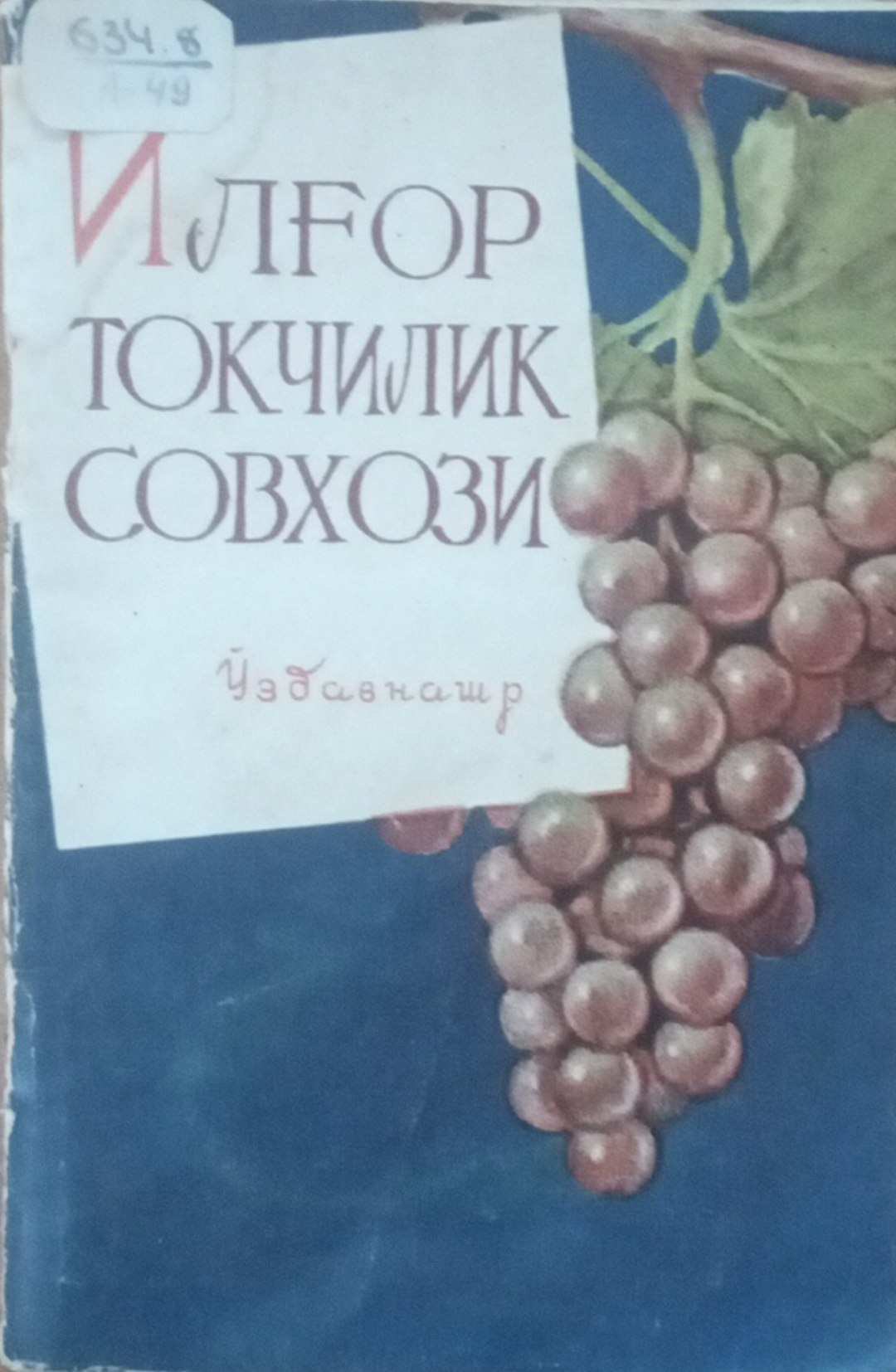 Илғор токчилик совхози