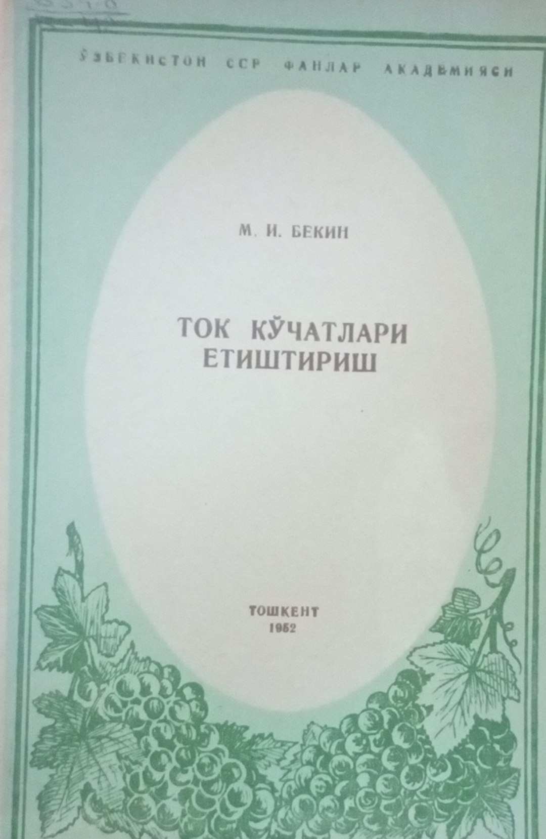 Ток кўчатлари етиштириш