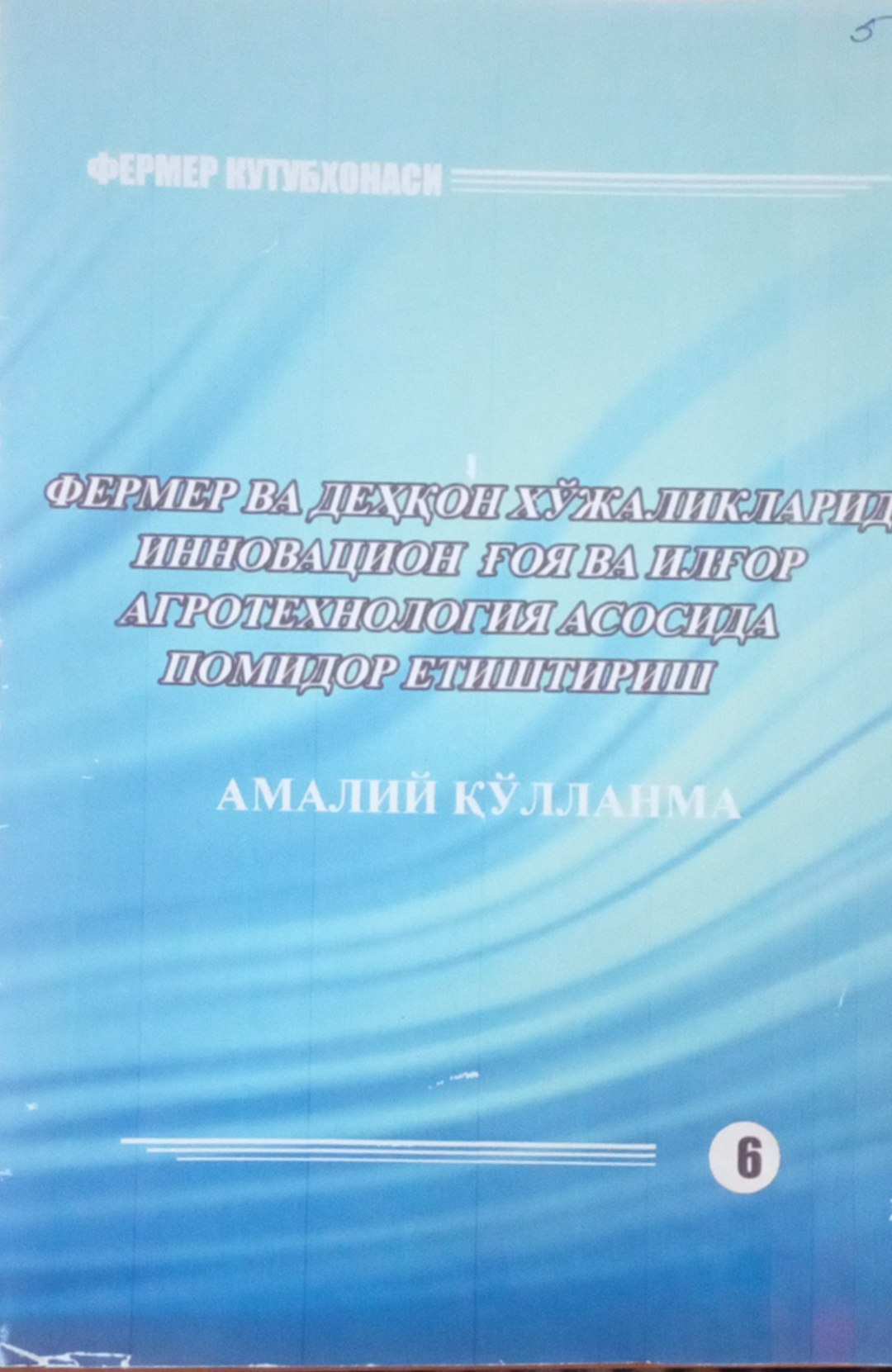 Фермер ва деҳқон хўжаликларида инновацион ғоя ва илғор агротехнология асосида помидор етиштириш