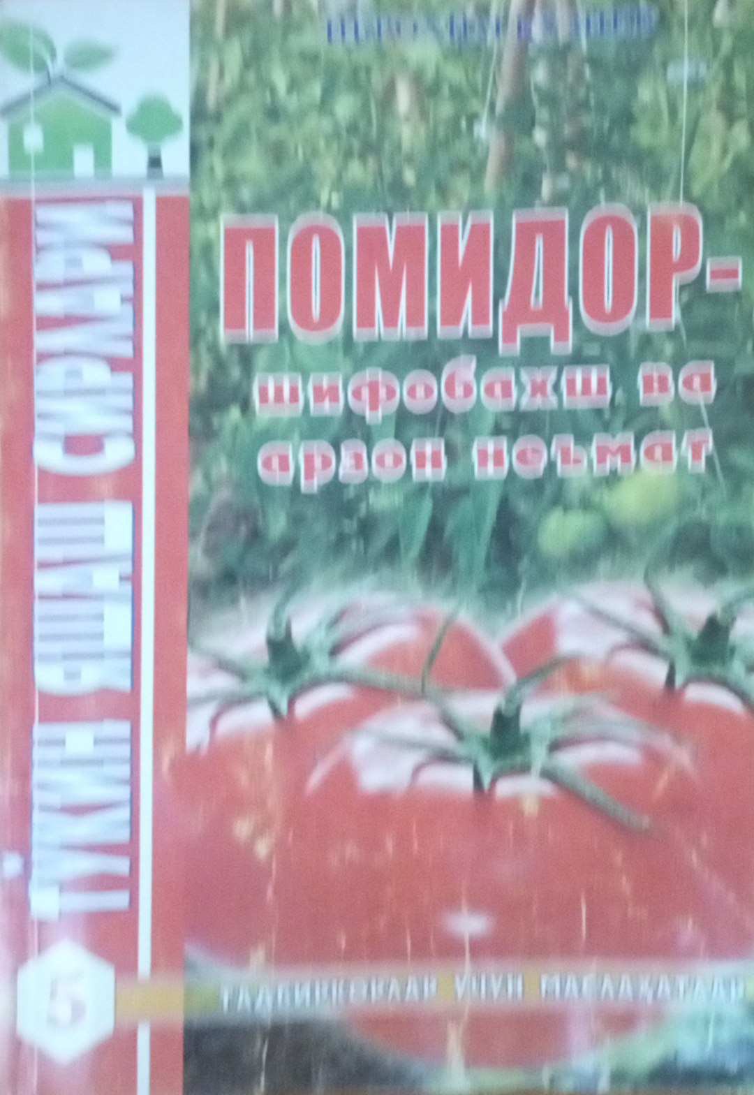 Помидор-шифобахш ва арзон неъмат