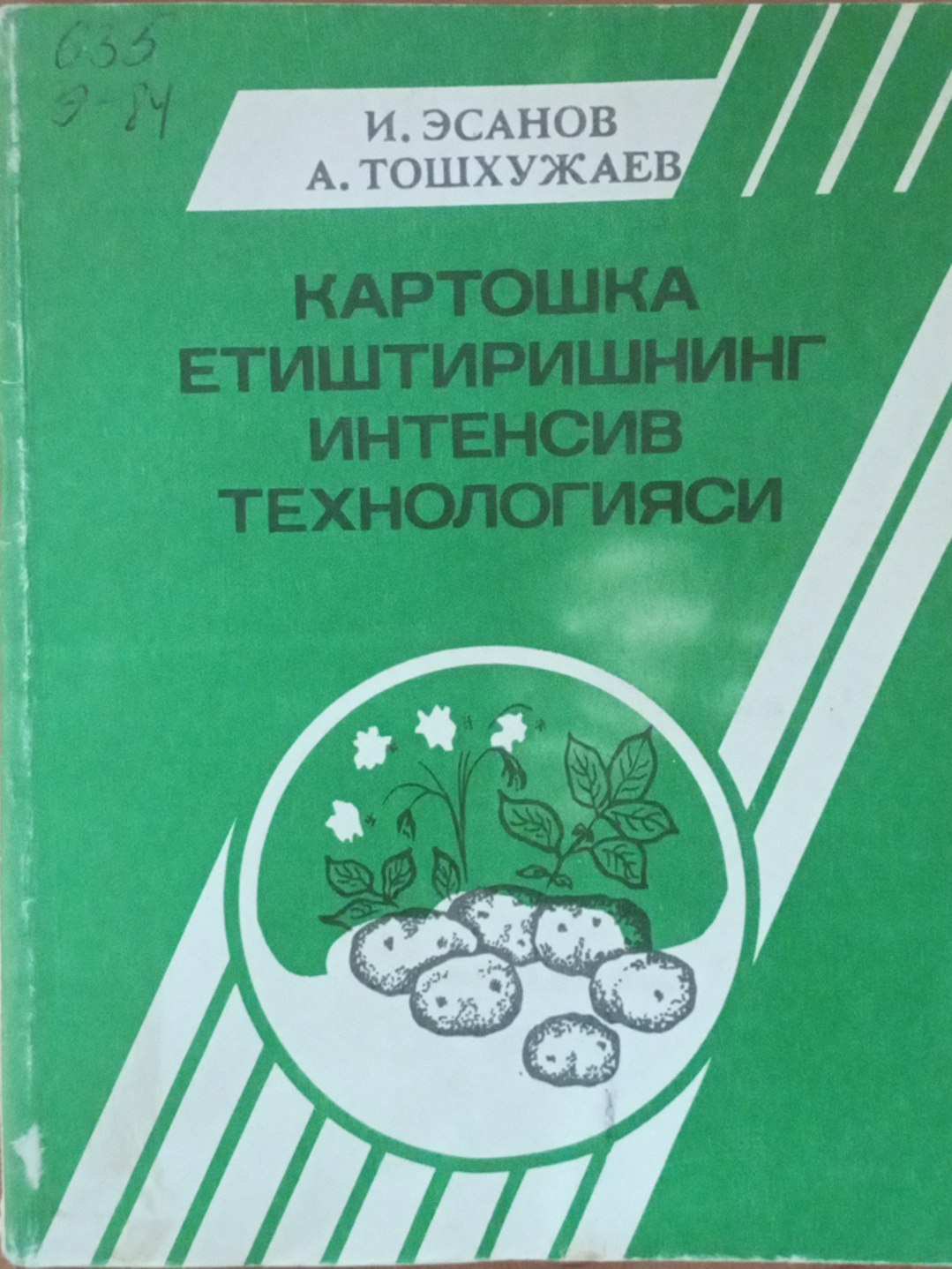 Картошка етиштиришнинг интенсив технологияси