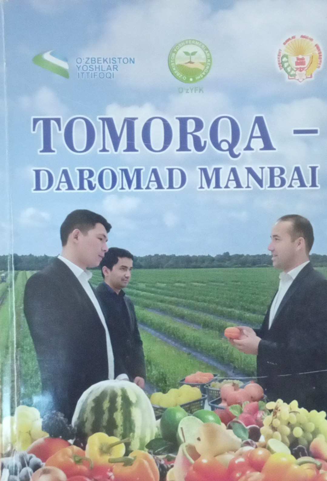 Tomorqa daromad manbai