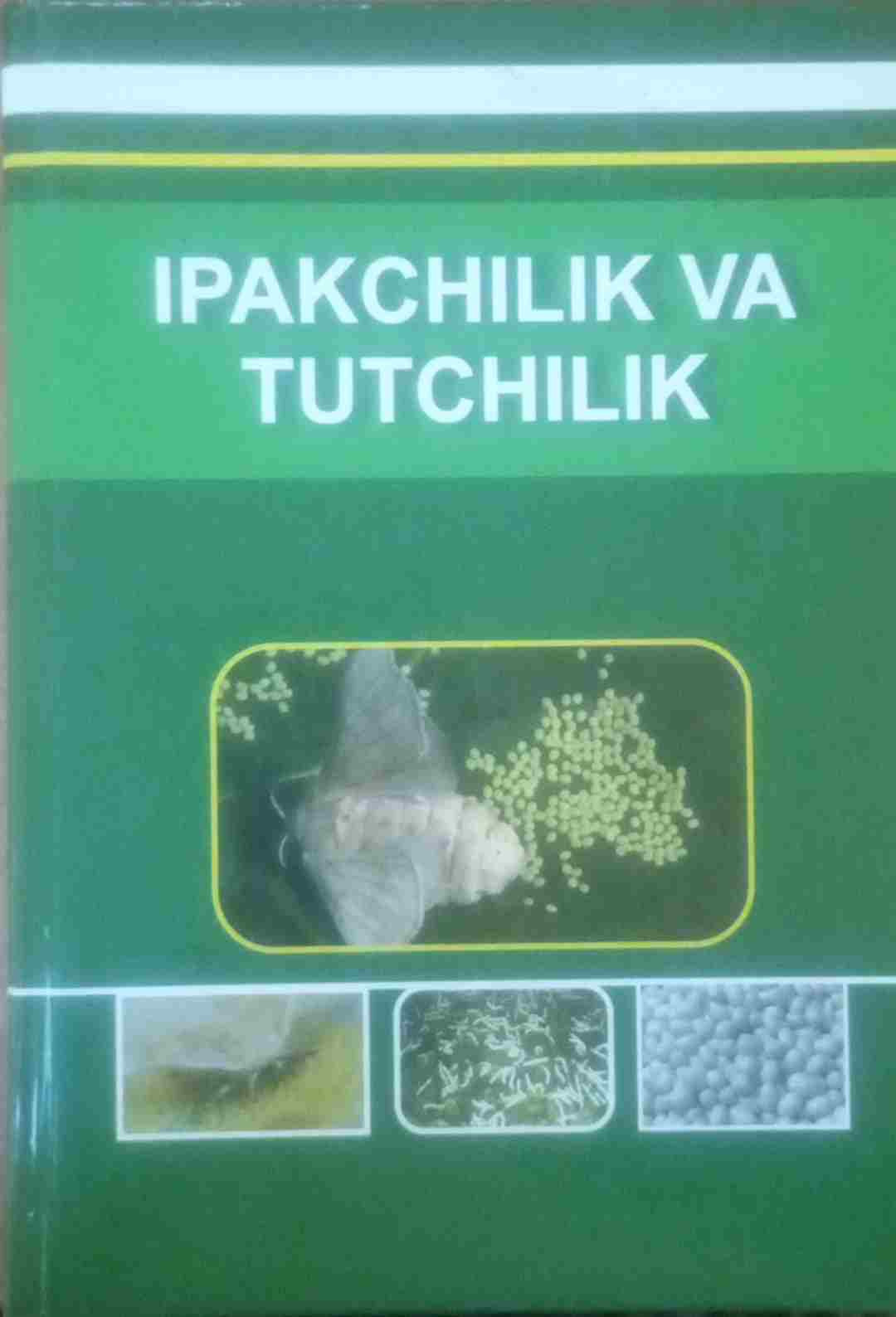 Ipakchilik va tutchilik