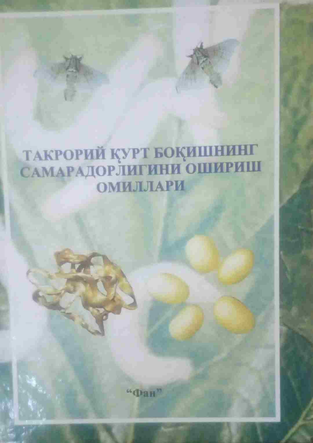 Такрорий қурт боқишнинг самарадорлигини ошириш омиллари