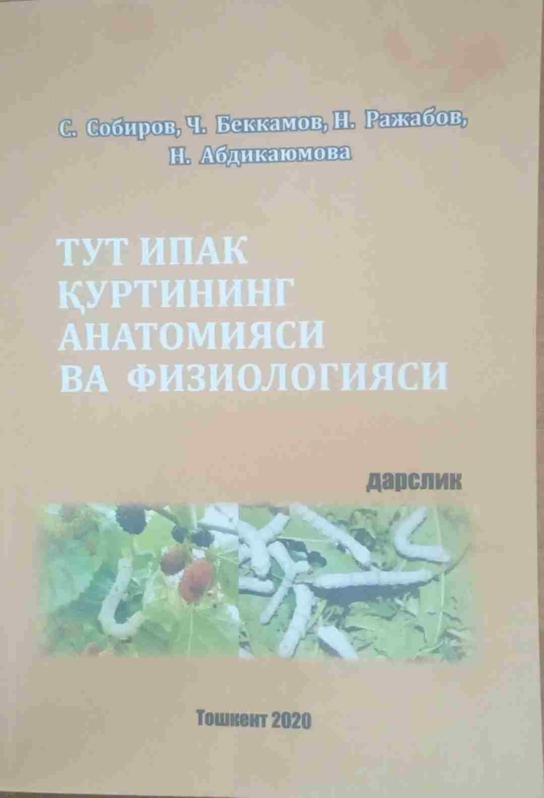 Тут ипак қуртининг анатомияси ва физиологияси