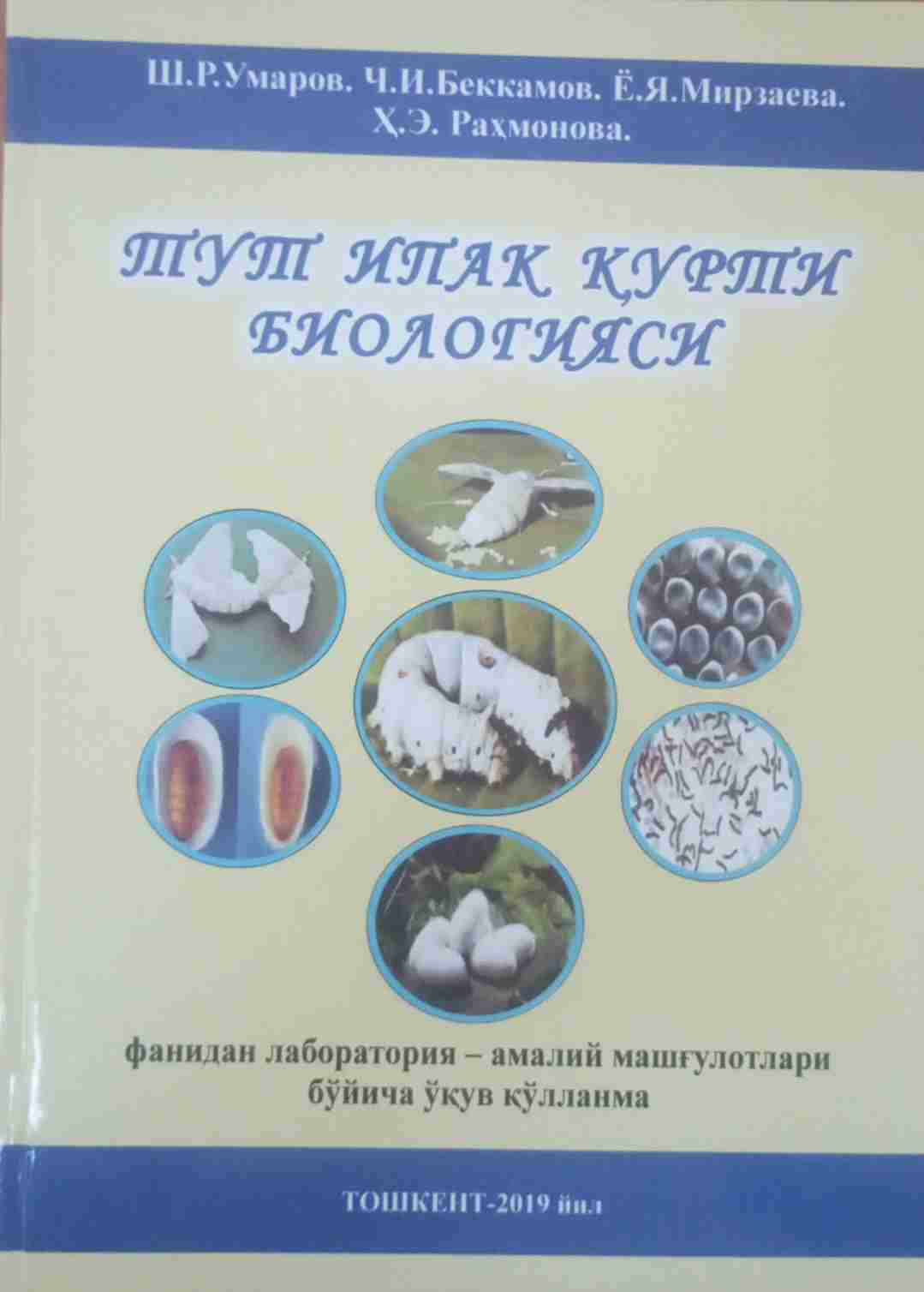 Тут ипак қурти биологияси