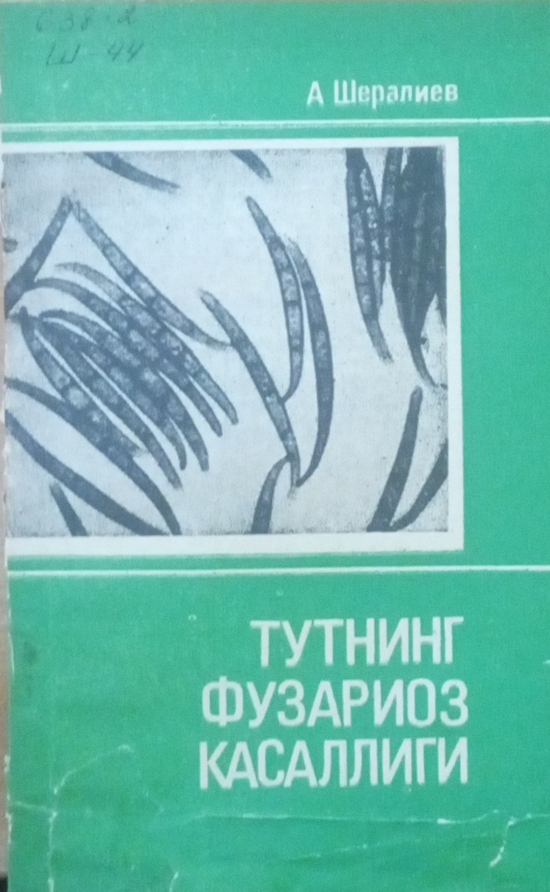 Тутнинг фузариоз касаллиги