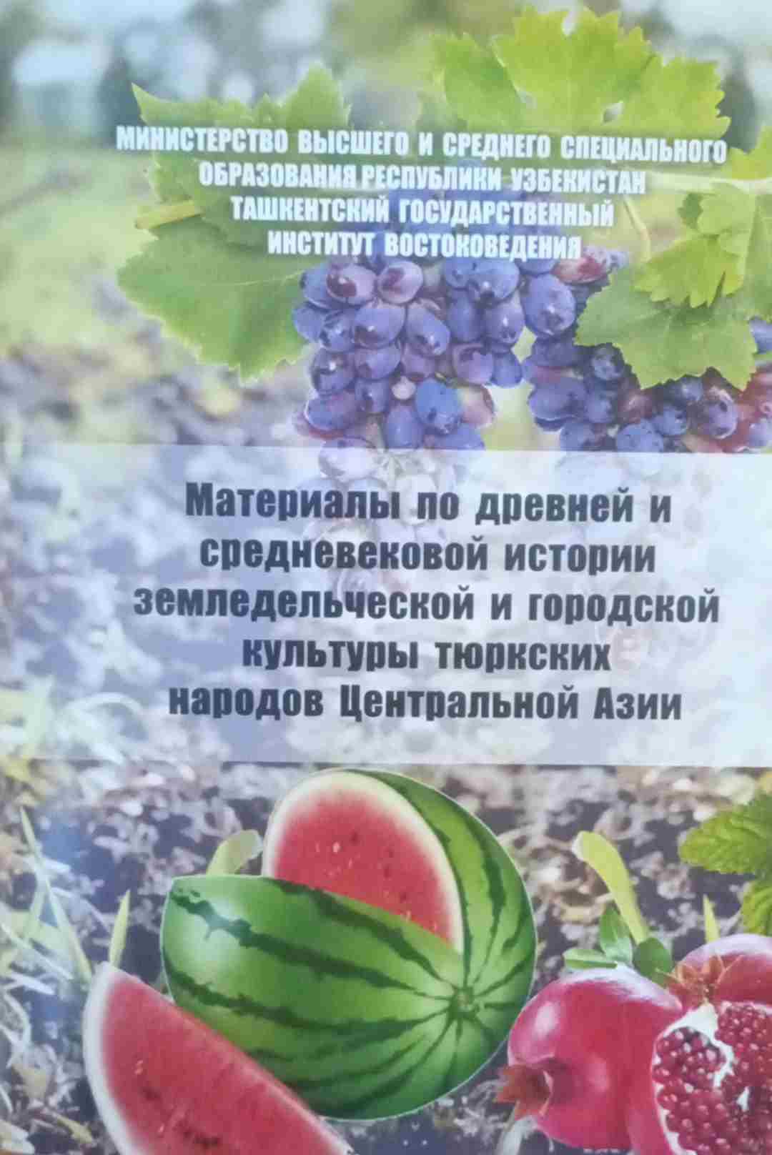Материалы по древней и средневековой истории земледельческое и городской культуры тюркских народов Центральной Азии