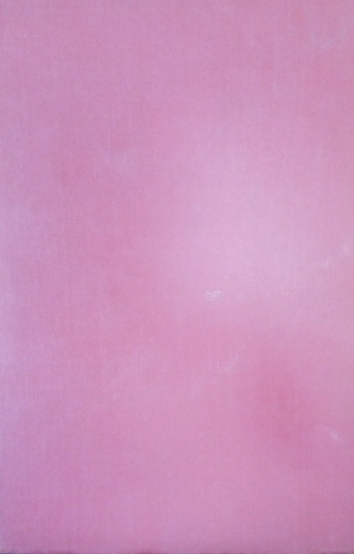 Meyers kleines lexikon