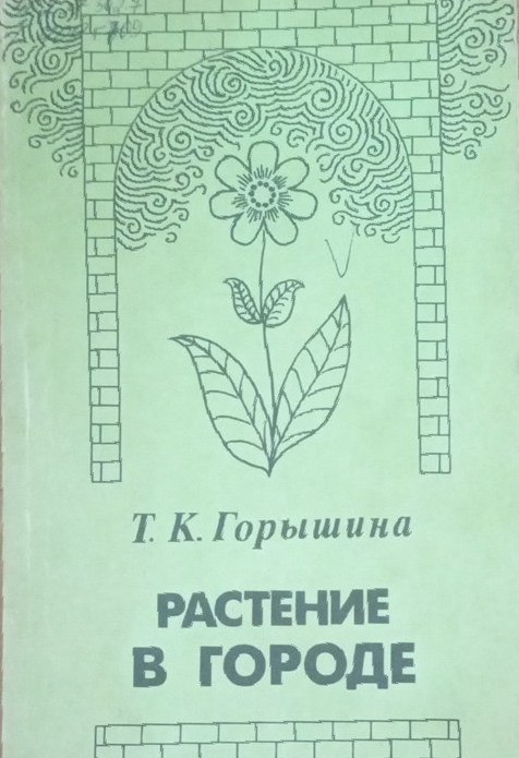 Растение в городе