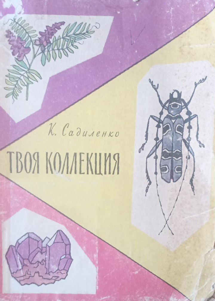 Твоя коллекция