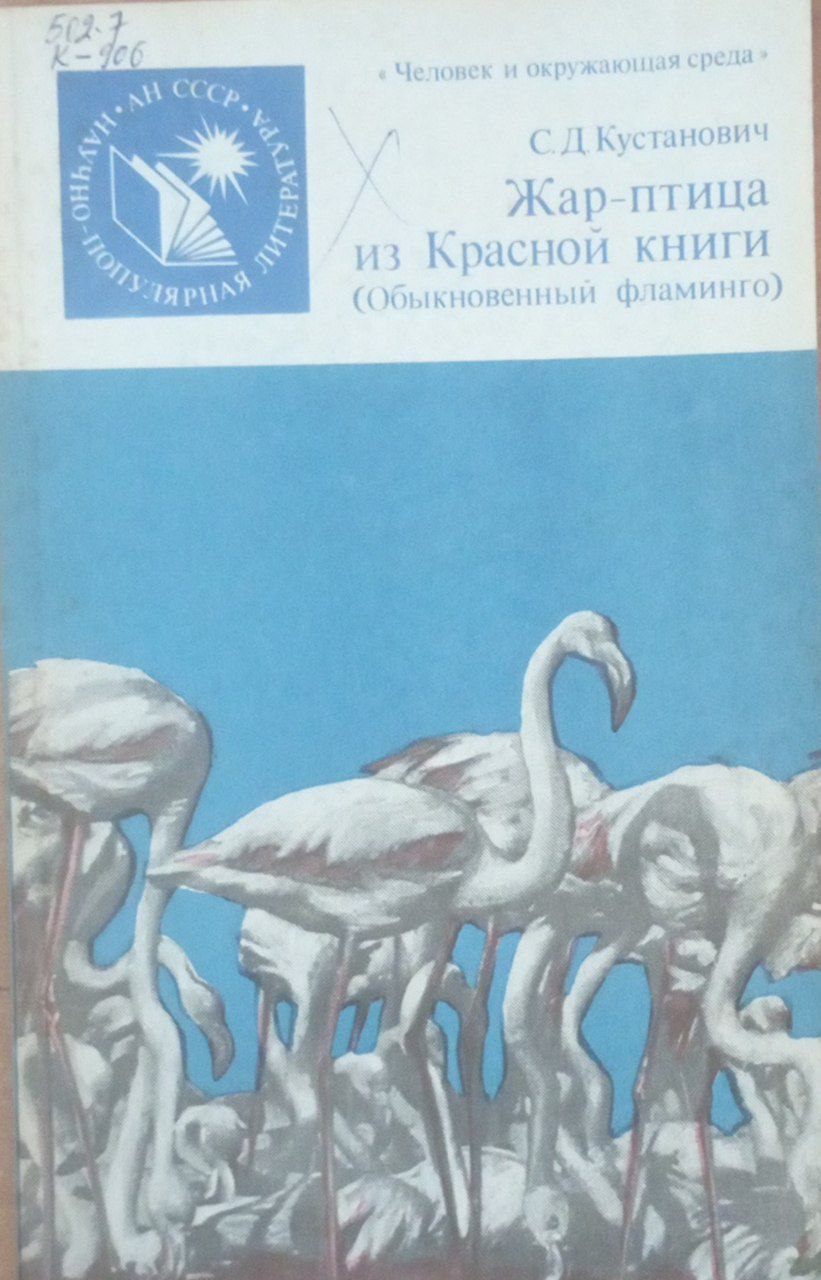 Жар-птица из Красной книги (обыкновенный фламинго