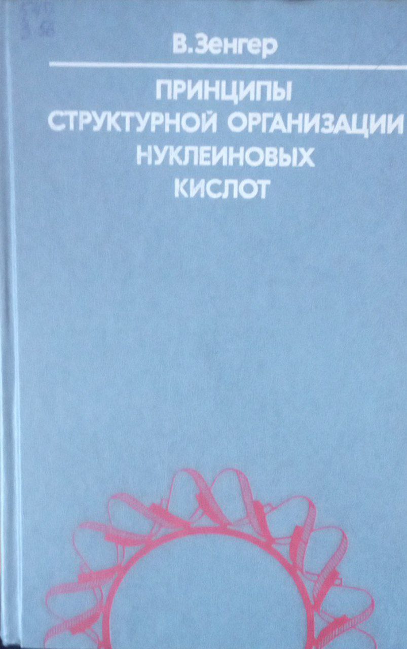 Принципы структурной организации нуклеиновых кислот