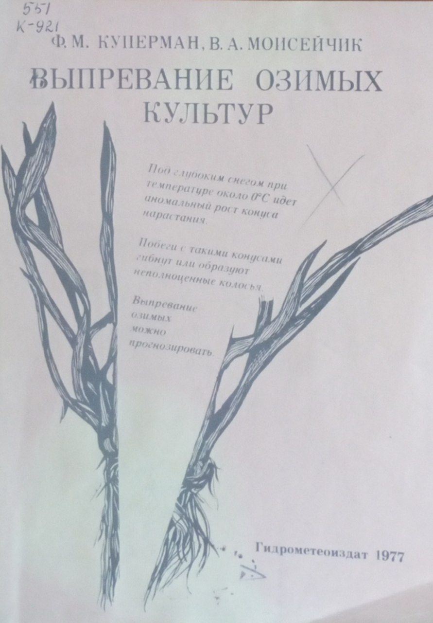 Выпревание озимых культур