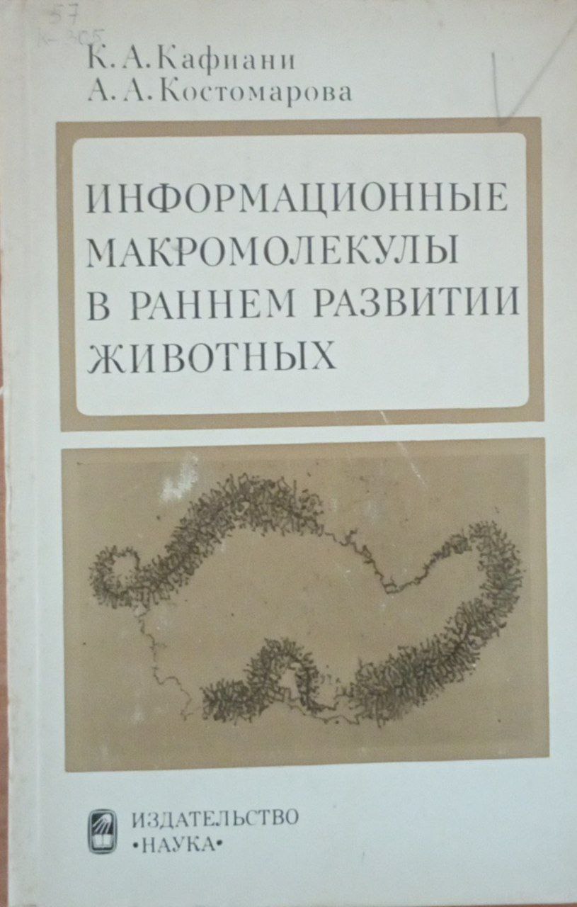 Информационные макромолекулы в раннем развитии животных