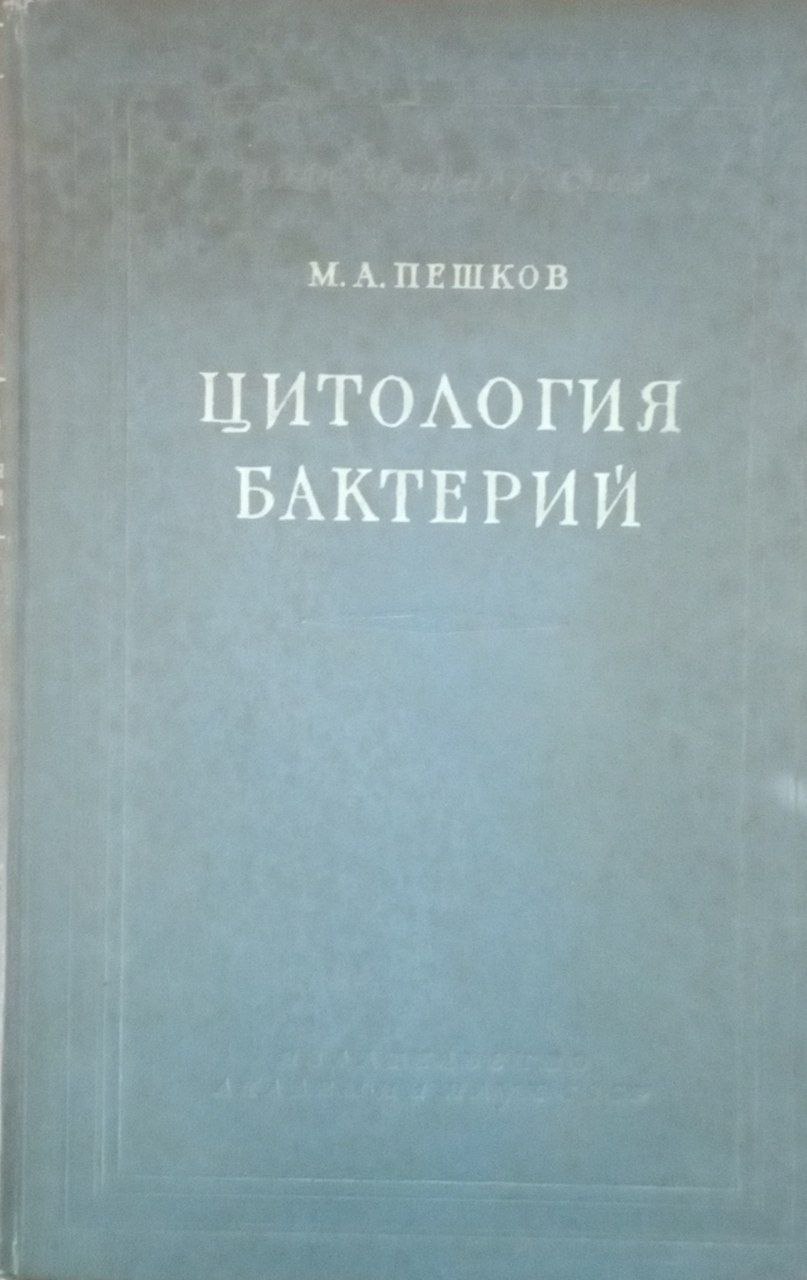 Цитология бактерий