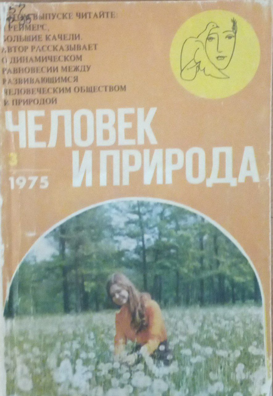 Большие качели