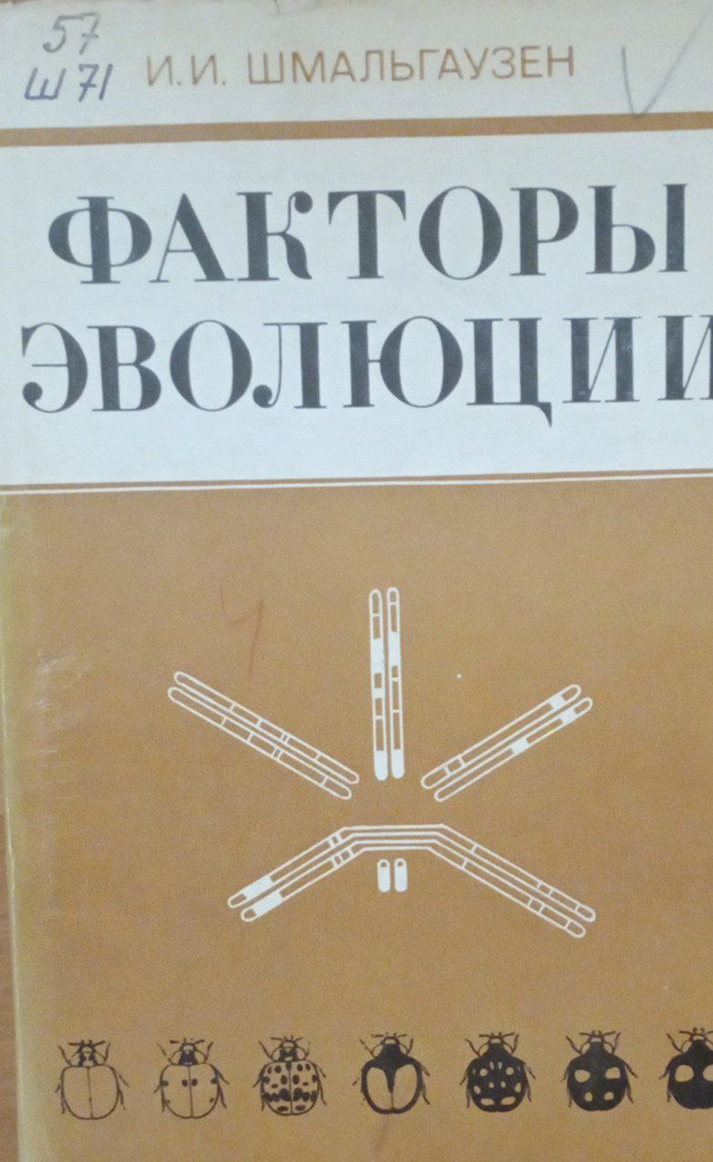 Факторы эволюции (теория стабилизирующего отбора)