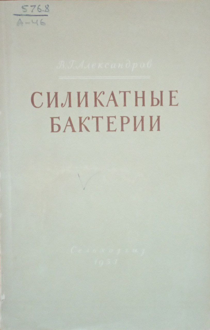 Силикатные бактерии