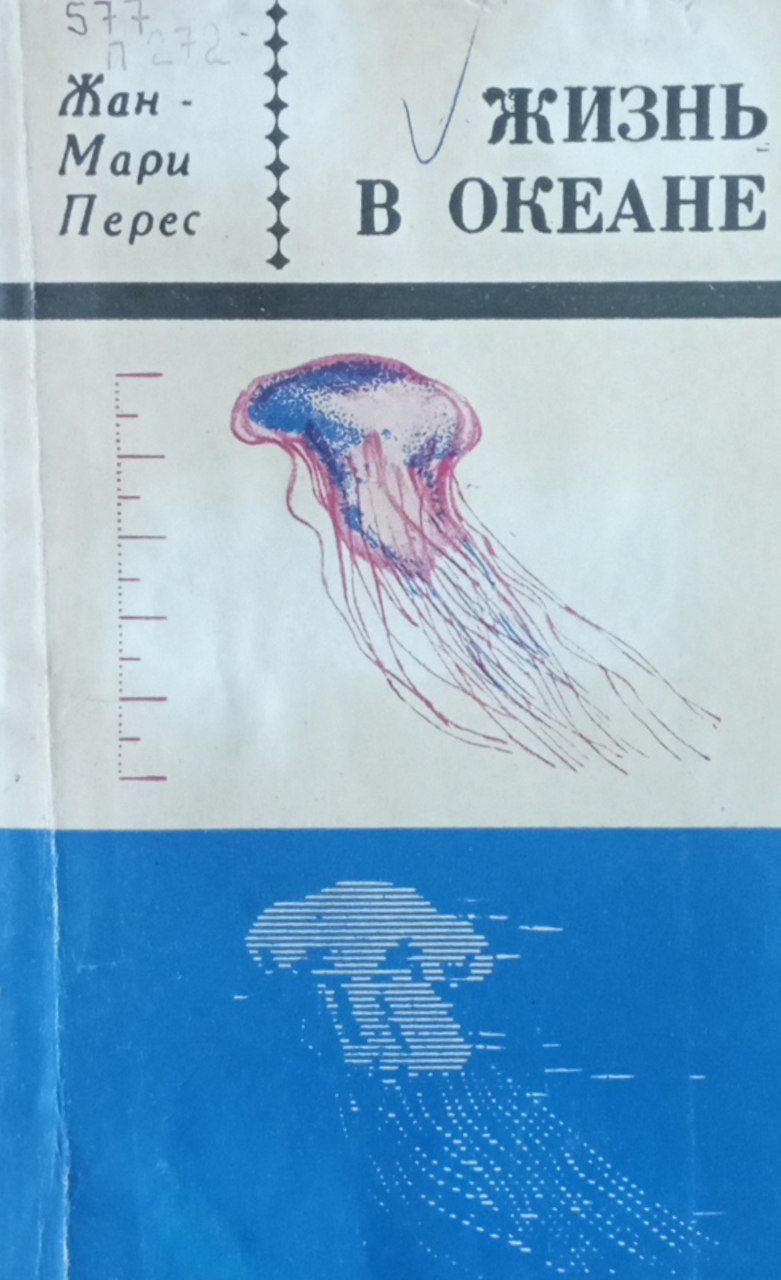 Жизнь в океане