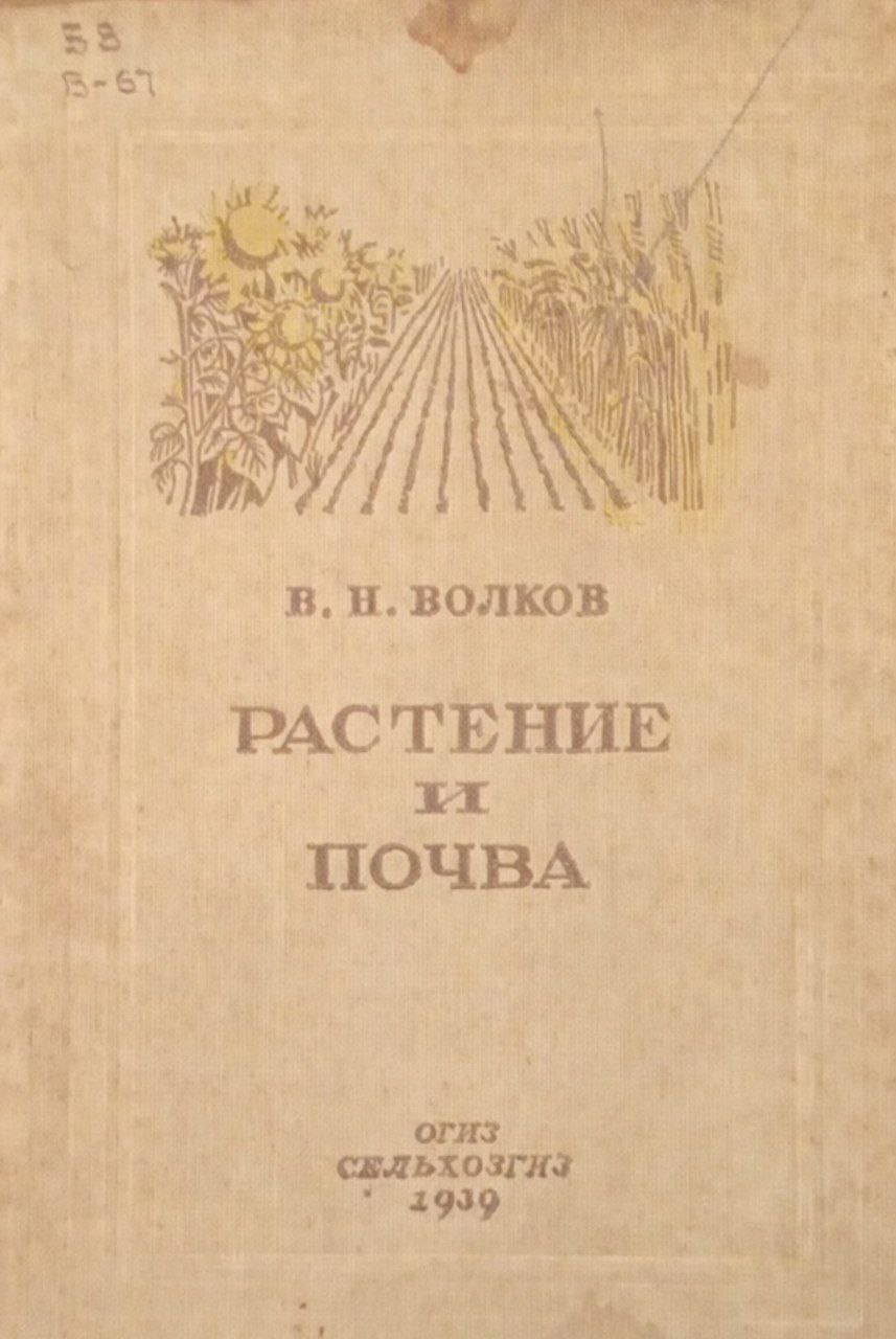 Растение и почва