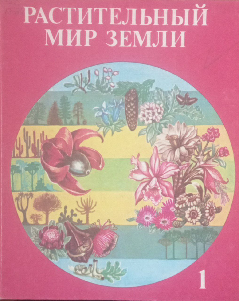 Растительный мир земли