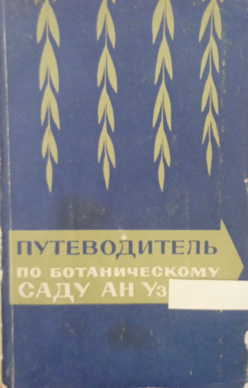 Деревья и кустарники европейско-кавказской части дендропарка Ботанического сада АН Уз