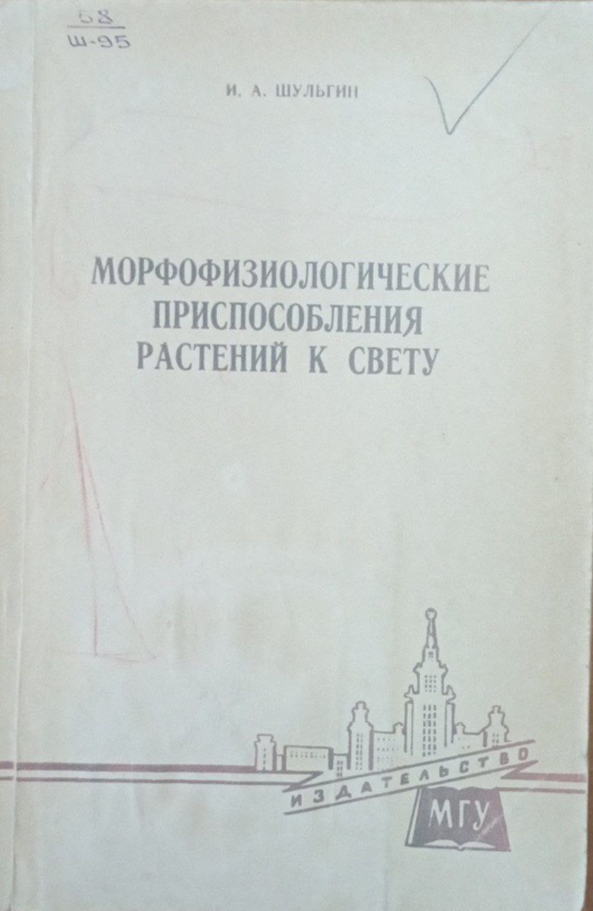 Морфофизиологические приспособления растений к свету