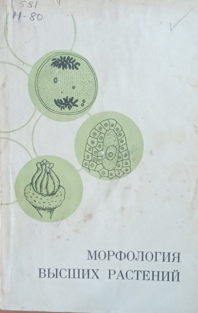 Морфология высших растений