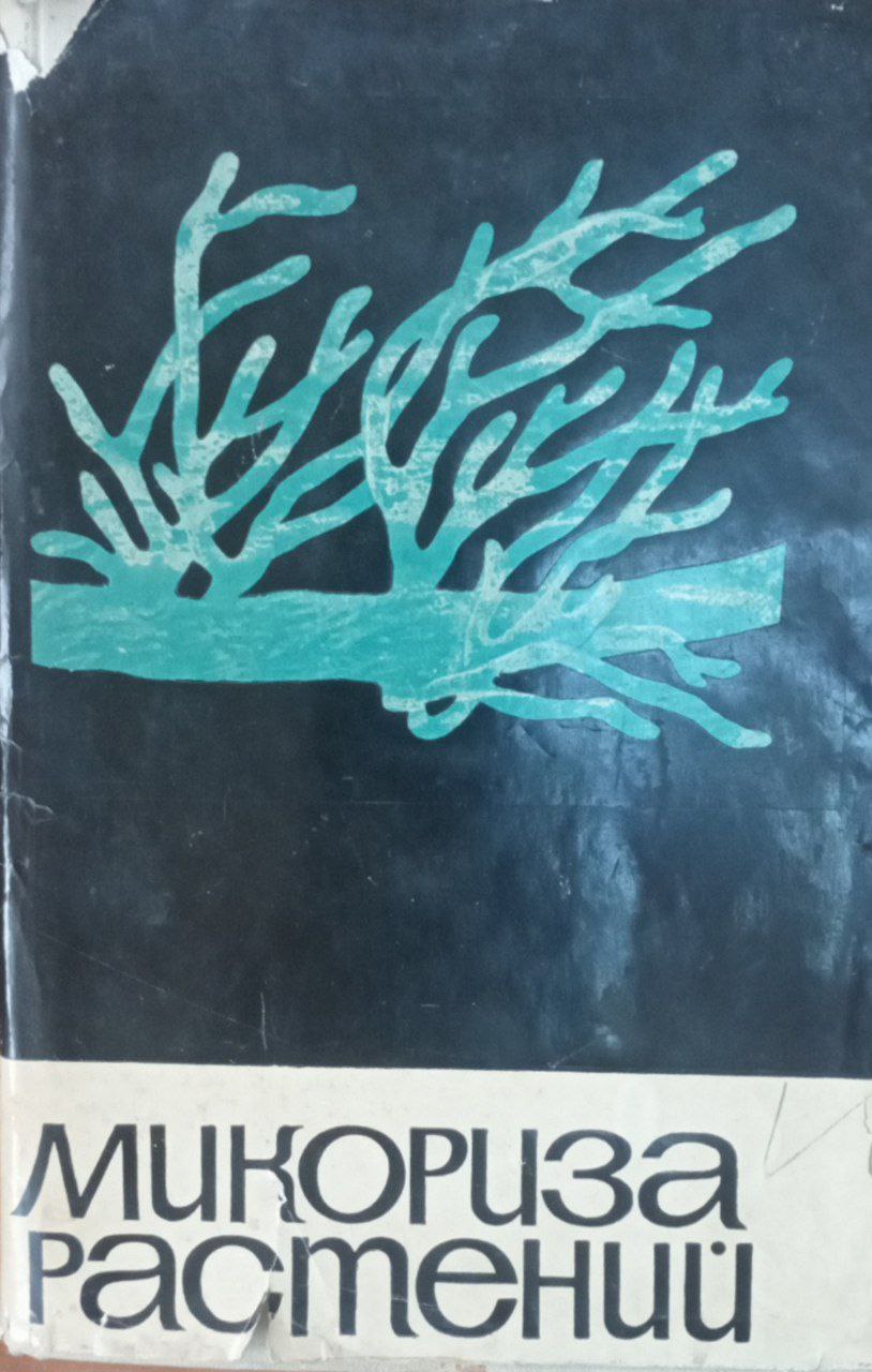 Микориза растений