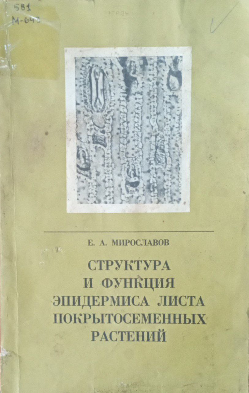 Структура и функция эпидермиса листа покрытосеменных растений