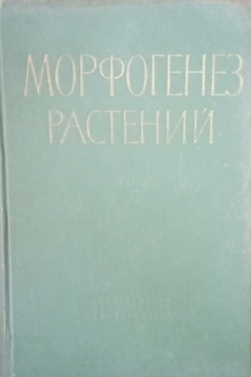 Морфогенез растений