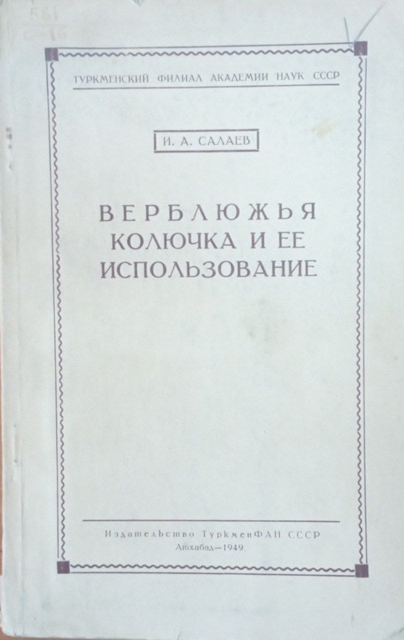 Верблюжья колючка и ее использование