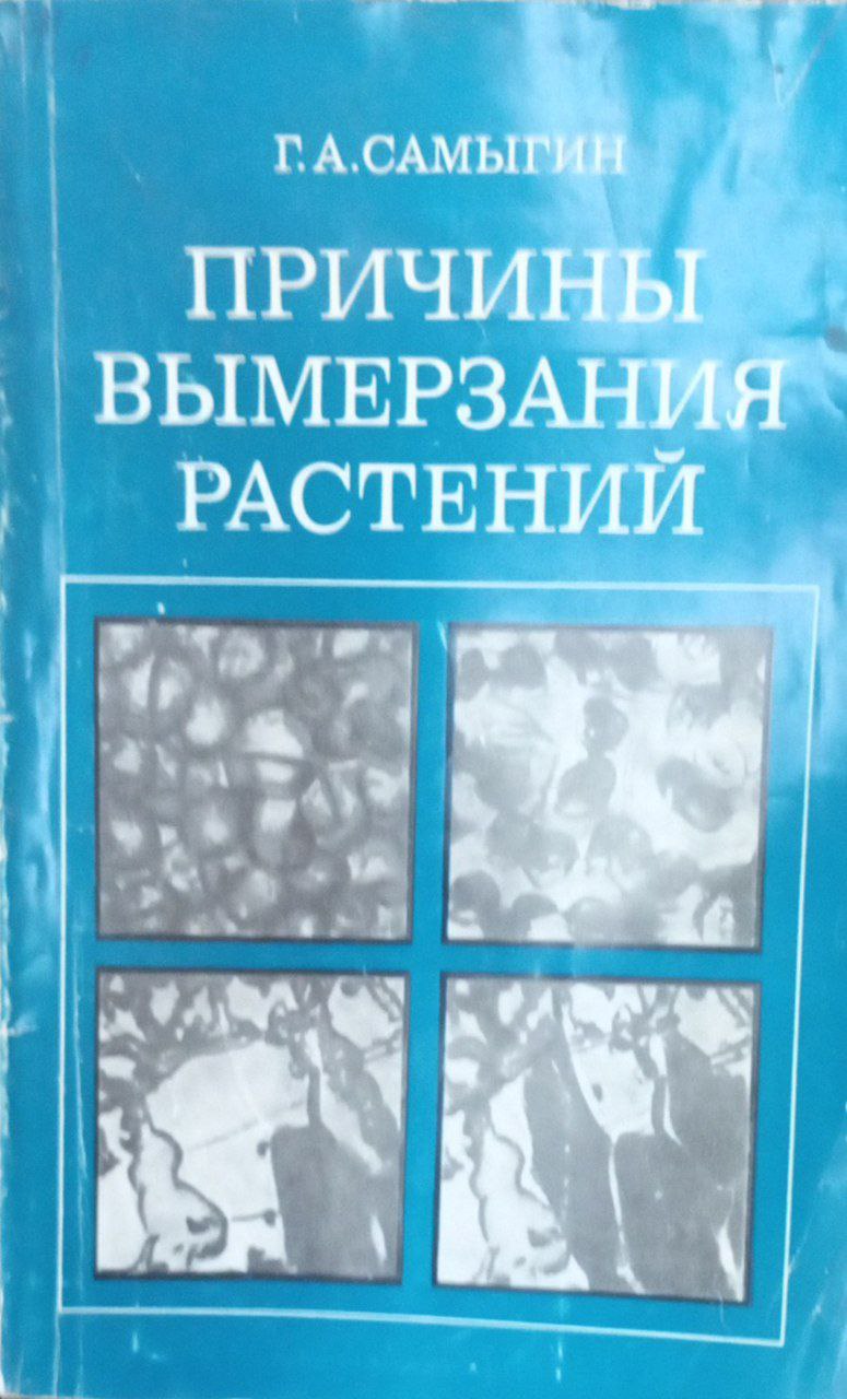Причины вымерзания растений