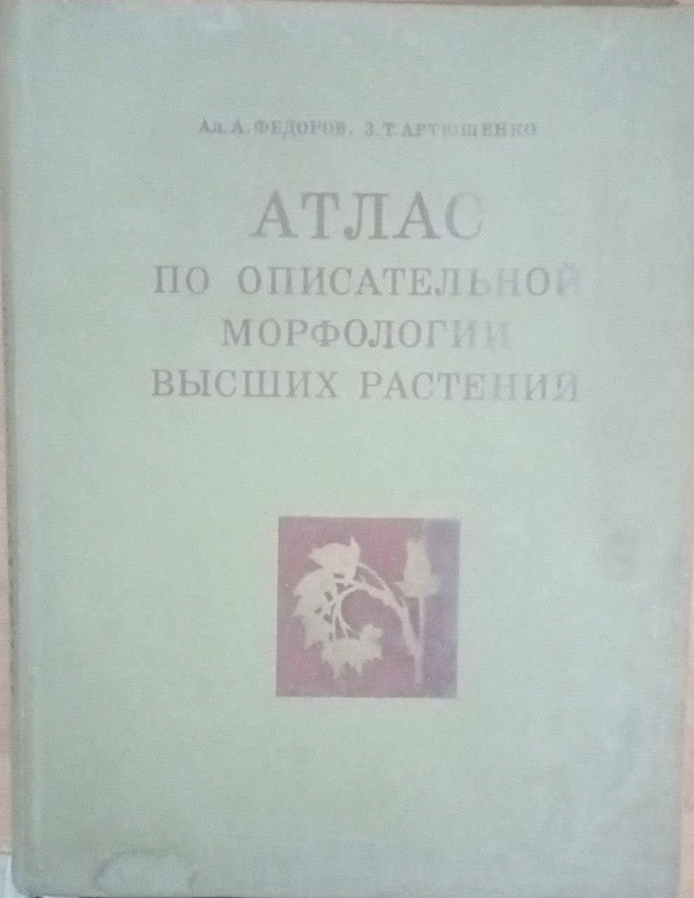 Атлас по описательной морфологии высших растений